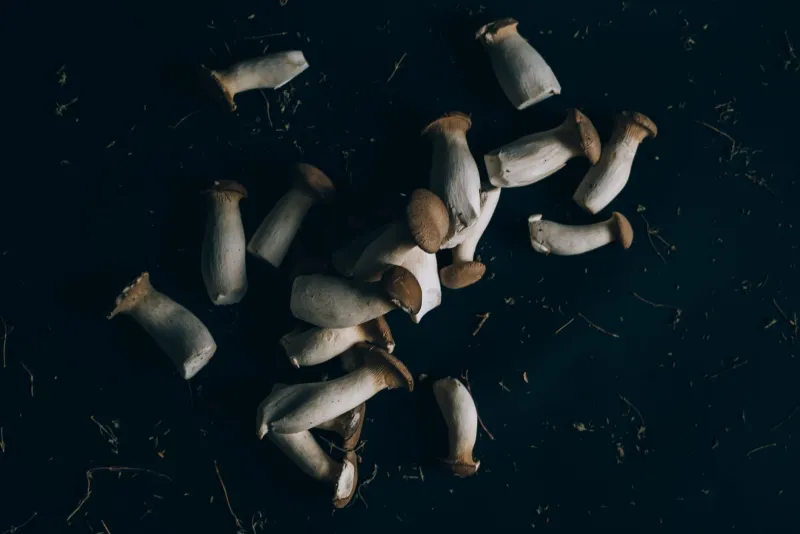 Ghost Flavor: The Plant-Based Kitchen's Secret Obsession With Umami