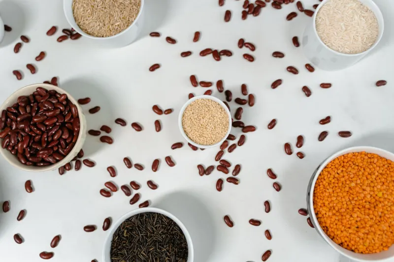 Congratulations, You've Been Voluntold to Get a Nutrition Degree: How 'Where Do You Get Your Protein?' Made Plant-Based Eaters the Most Informed Diners in America