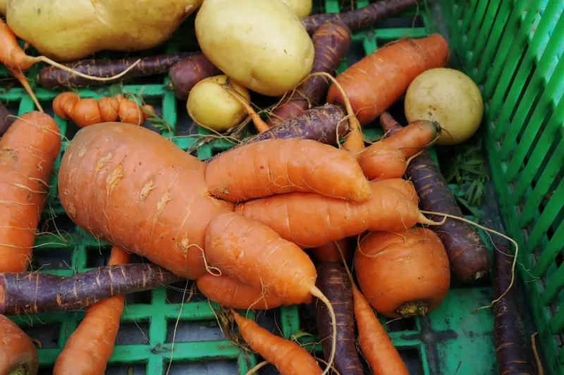 Ugly Is the New Organic: Why Wonky Vegetables Are the Plant-Based Cook's Best-Kept Secret